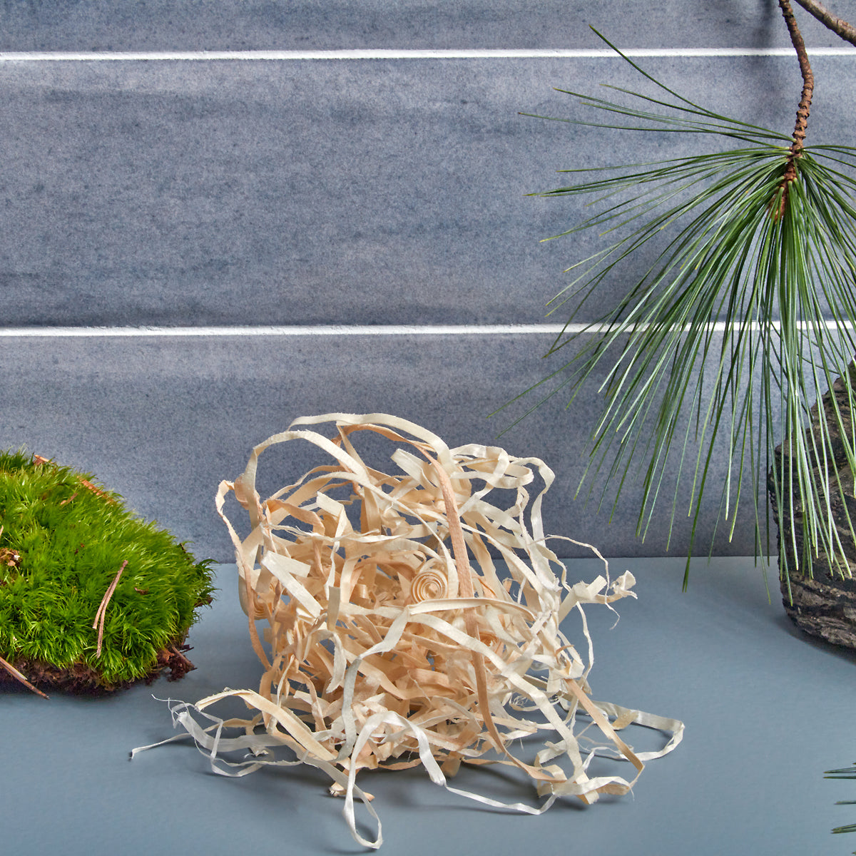 Tree Pulp