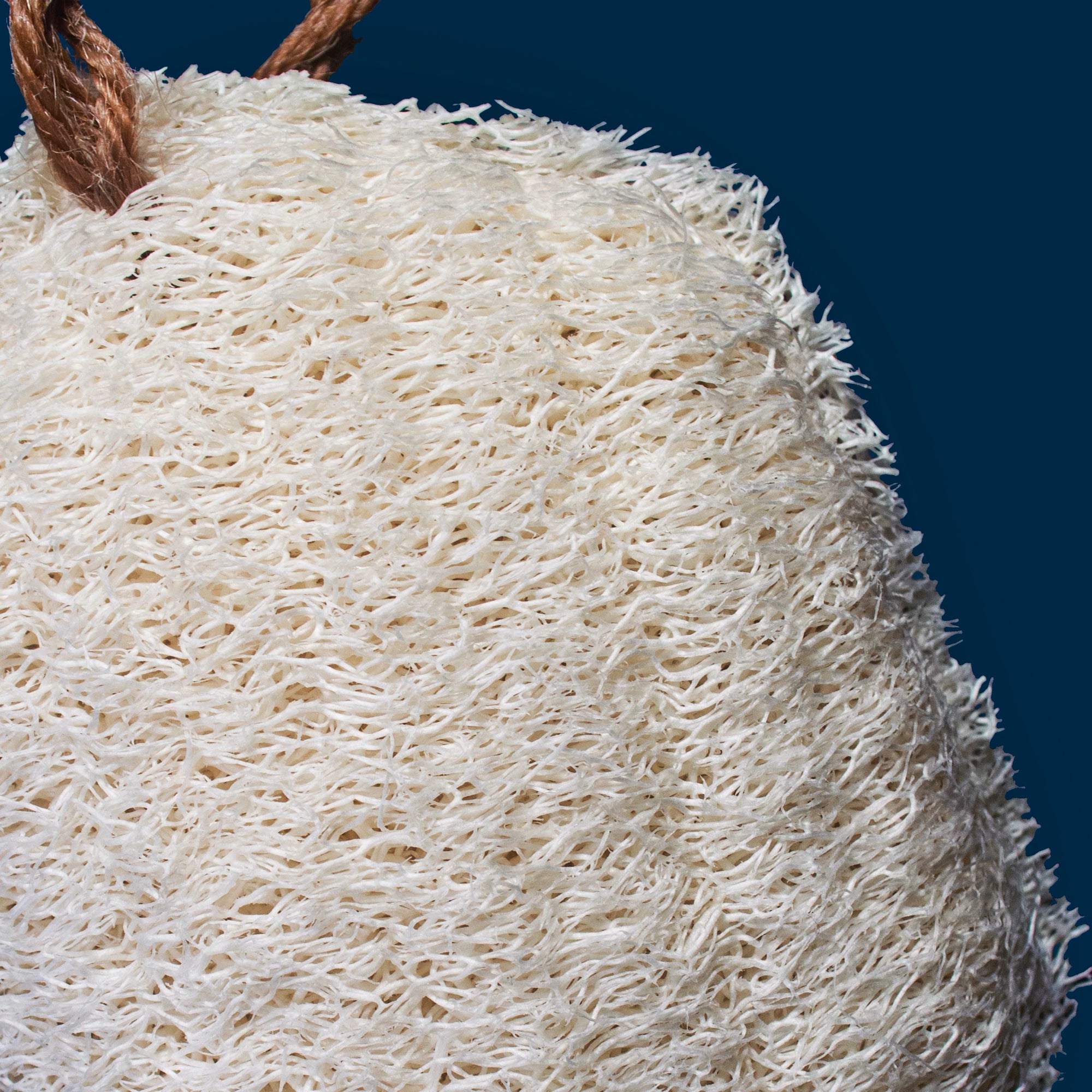 A close up look at a Sqwishful natural scrub sponge showing its soft but strong luffa texture