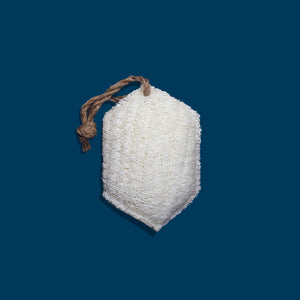 Scrub Sponge